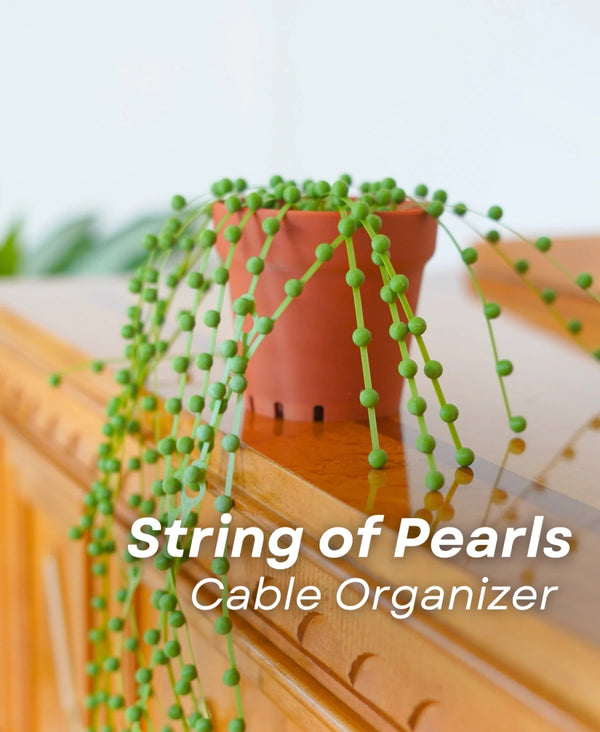 String of Pearls - Cable Tie Plant