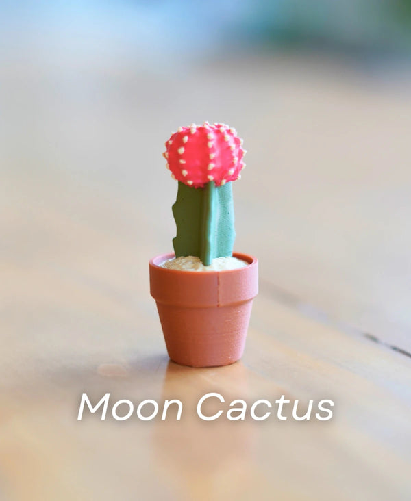 Clicky Cacti - Moon, Spiral & Branching Set