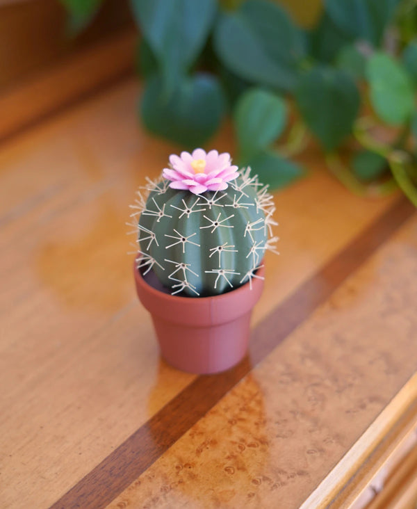 Spikey Spices - Cactus Salt & Pepper Shaker