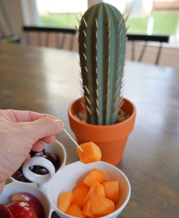 Cactus Toothpick Holder