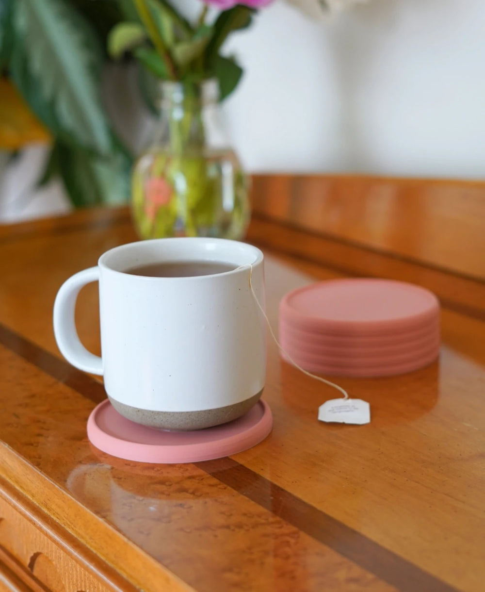Shell Coasters