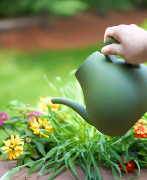 Brook Watering Can