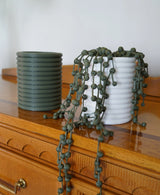 Spinny Plant Pot - Spinning Two-Part Planter