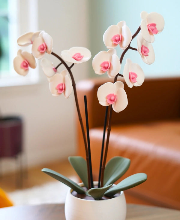 Aromatic Orchid - Oil Diffuser & Incense Holder Plant
