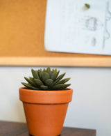 Push Pin Succulent