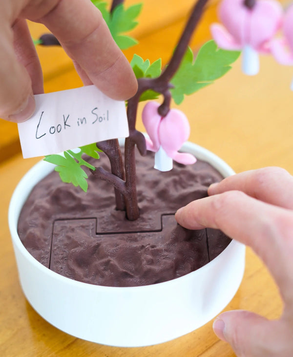 Bleeding Sweethearts - Valentine's Plant with Hidden Notes