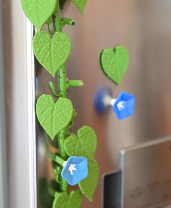 Morning Glory Magnets - Flowering Vine for Your Fridge