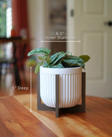 Cedar Pot