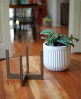 Cedar Pot