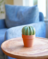 Smactus Cactus - Pop-Up Cactus Coaster