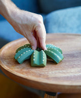 Smactus Cactus - Pop-Up Cactus Coaster