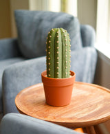 Cactichess - Cactus Chess Set in a Pot
