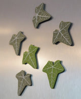 Magnetivy - Climbing Ivy Fridge Magnet