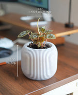 Linen Pot