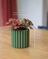 Meadow Pot