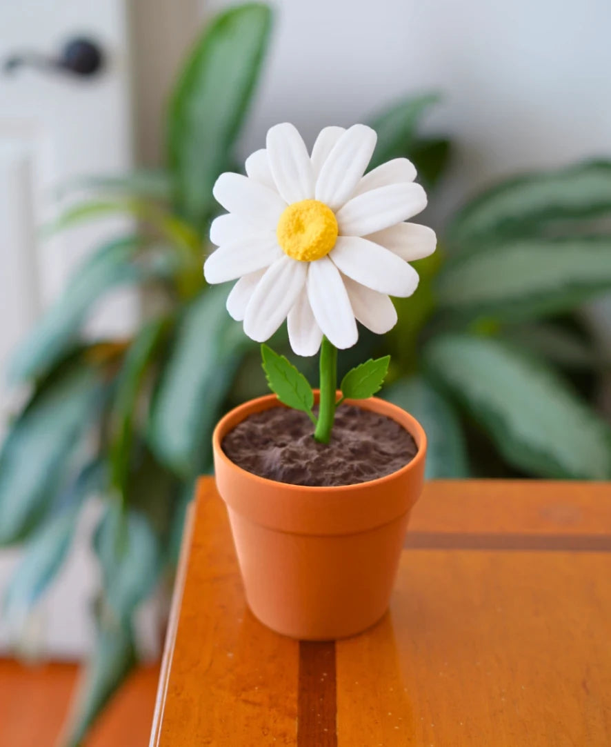 Date Night Daisy